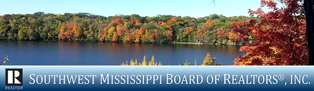 virtually staged photo Southwest Mississippi MLS