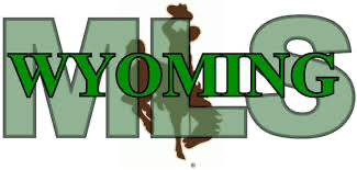 virtually staged photo Wyoming MLS